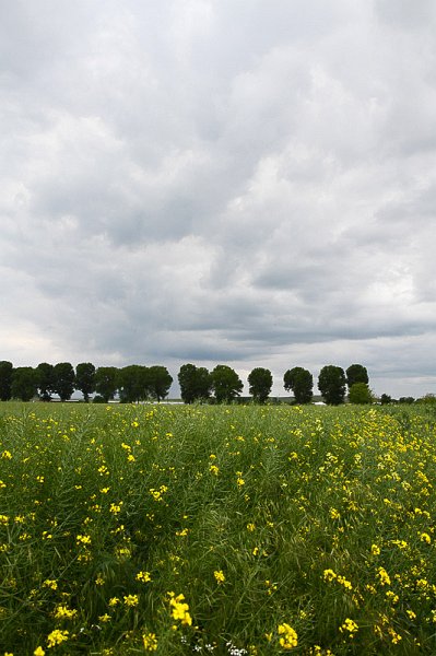 23-land-und-leute.jpg - Und immer wieder wunderbare Landschaft.