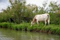 26-land-und-leute