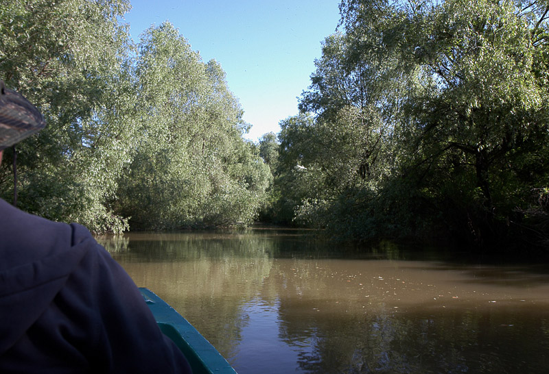 07-bootsausfahrten.jpg - Dann geht's in die Botanik.